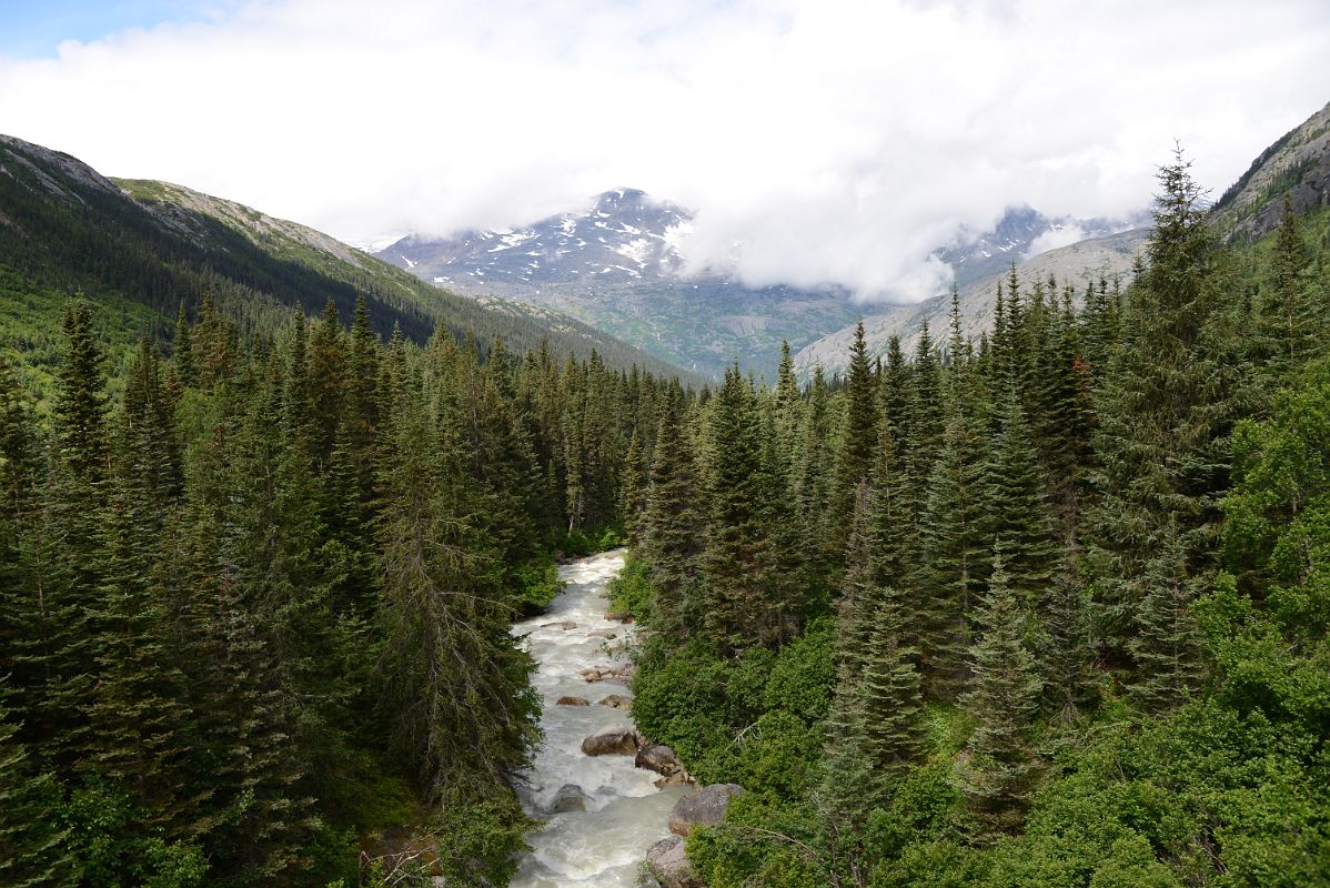 24A A Small River Flowing Through The Trees Next To The White Pass and Yukon Route Train On Its Way To Skagway